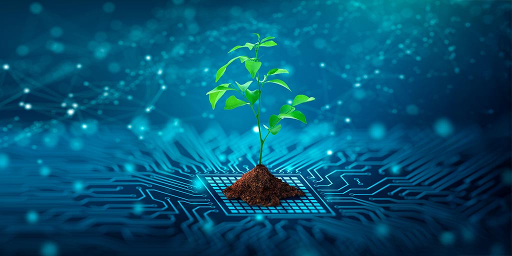 Pianta che cresce su circuito digitale – simbolo della fibra ottica ecologica e della rete FTTH di Massagno4net